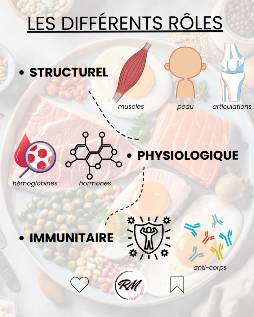 Post instagram diététique sur les protéines