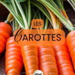 Post carottes nutrition diététicien caen