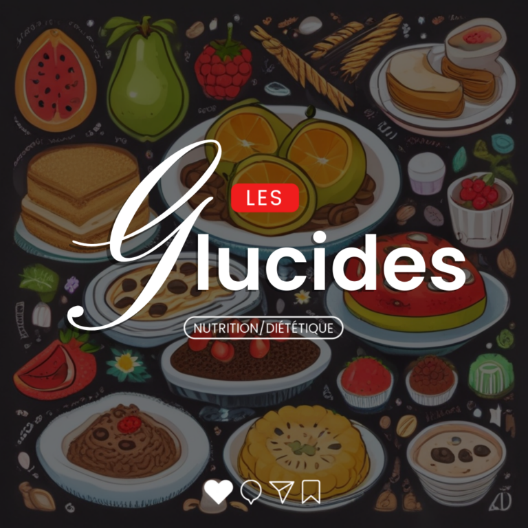 Glucides et alimentation